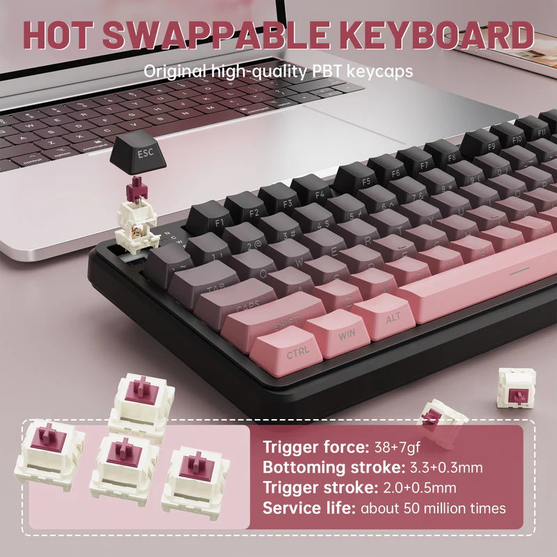 ATTACK SHARK X98PRO Blackberry 99-Key Tri-Mode Mechanical Keyboard With LED Screen, RGB, Knob, Hot-Swap PCB, Blueberry Switches, PBT Keycaps & 4000mAh Battery - Image 6